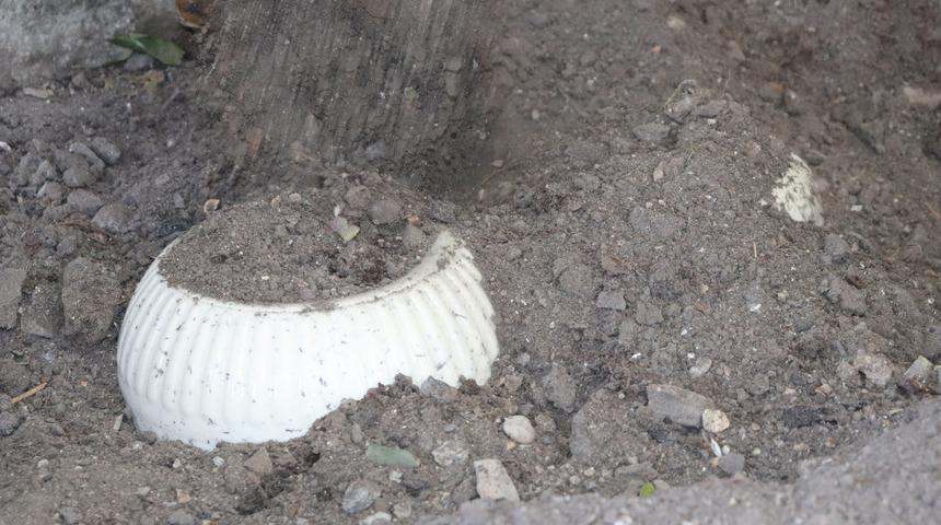 Yaz sonunda toprağa gömülüyor! 2 yıl bozulmadan dayanıyor