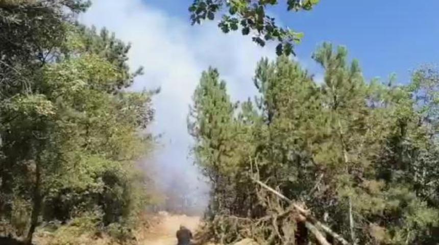 Karab&uuml;k&rsquo;te orman yangını!