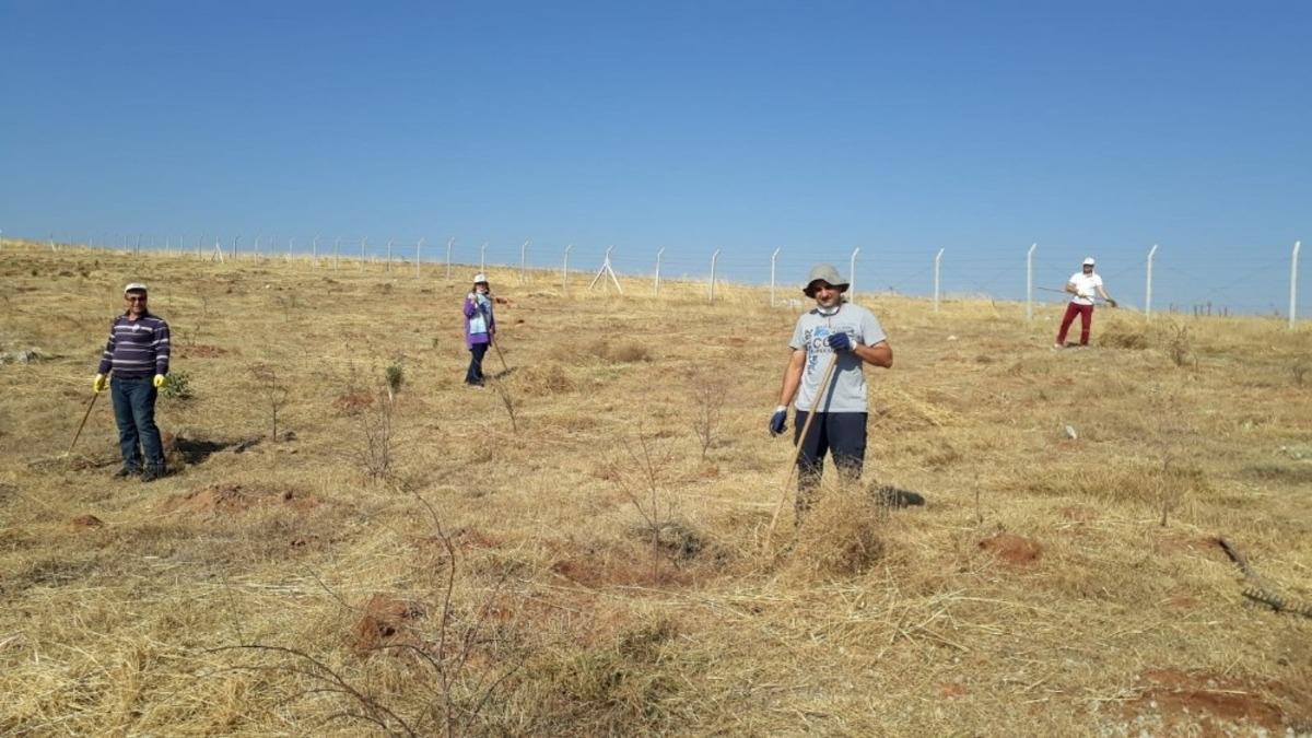 K&uuml;tahya Adalet Ormanı&rsquo;nda bakım &ccedil;alışması