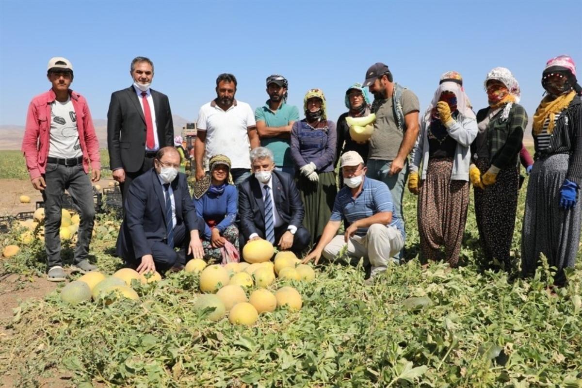 Vali hasat yapan &ccedil;ift&ccedil;ileri ziyaret etti