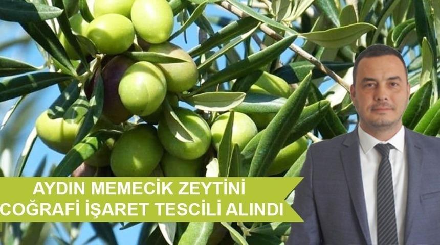 ATB, Aydın Memecik Zeytini Coğrafi İşaret Tescili&rsquo;ni aldı