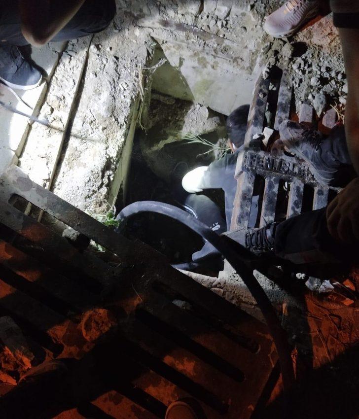 Yağmur suyu tahliye borusuna sıkışan 2 köpekr kurtarıldı G3