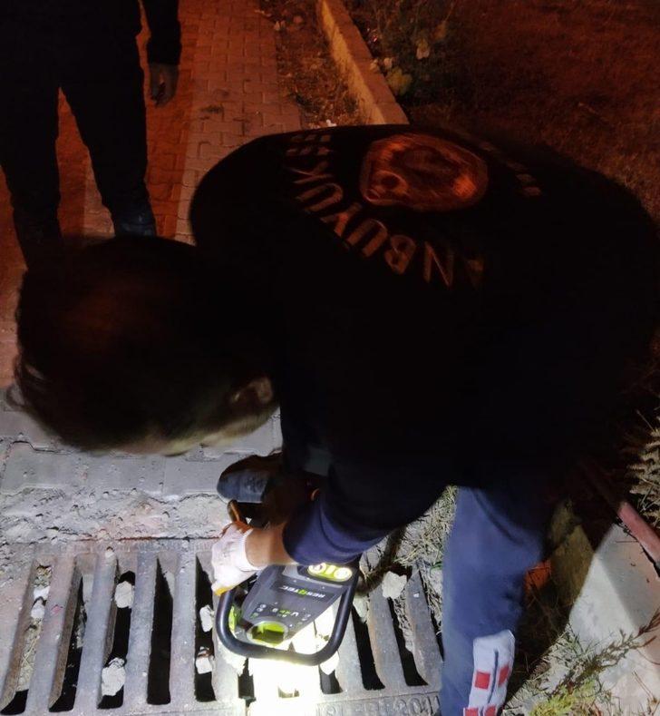 Yağmur suyu tahliye borusuna sıkışan 2 köpekr kurtarıldı G4