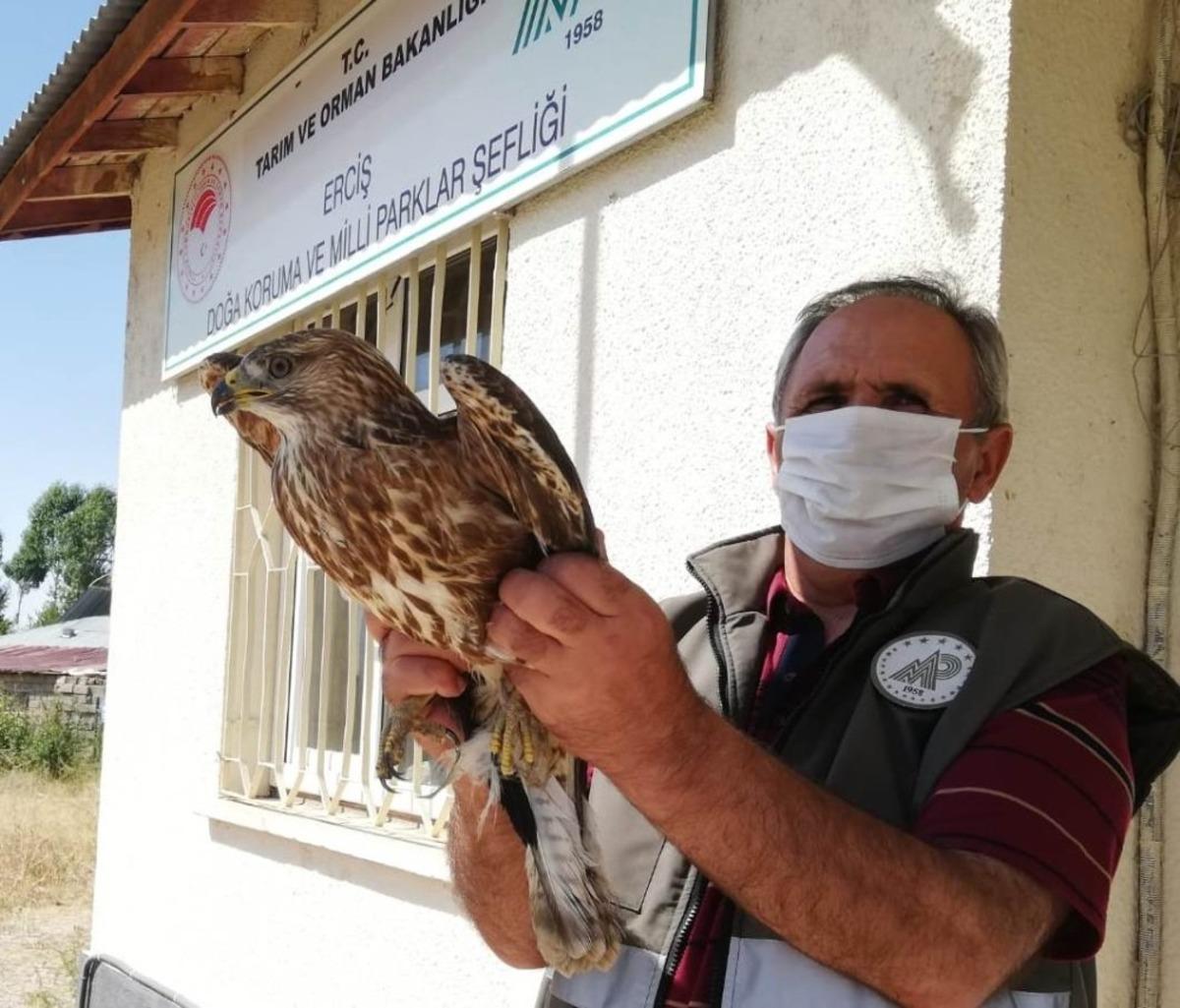 Yaralı kuşlar tedavi altına alındı