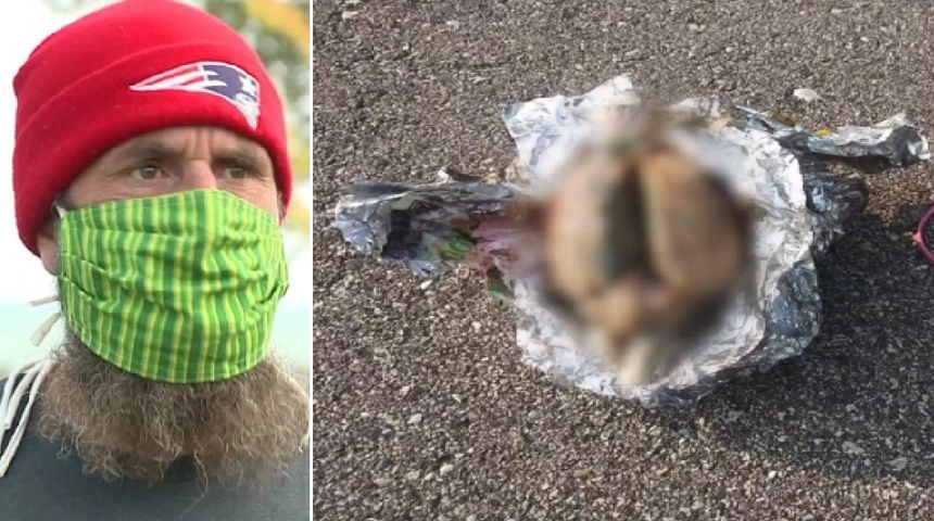 Sahilde çöpleri toplarken alüminyum folyoya sarılı beyin buldu 