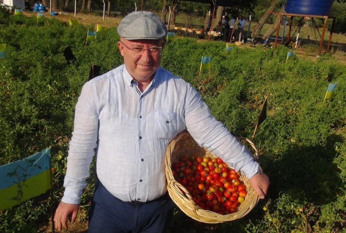 Ata tohumları Menteşe Belediyesine &ouml;d&uuml;l getirdi