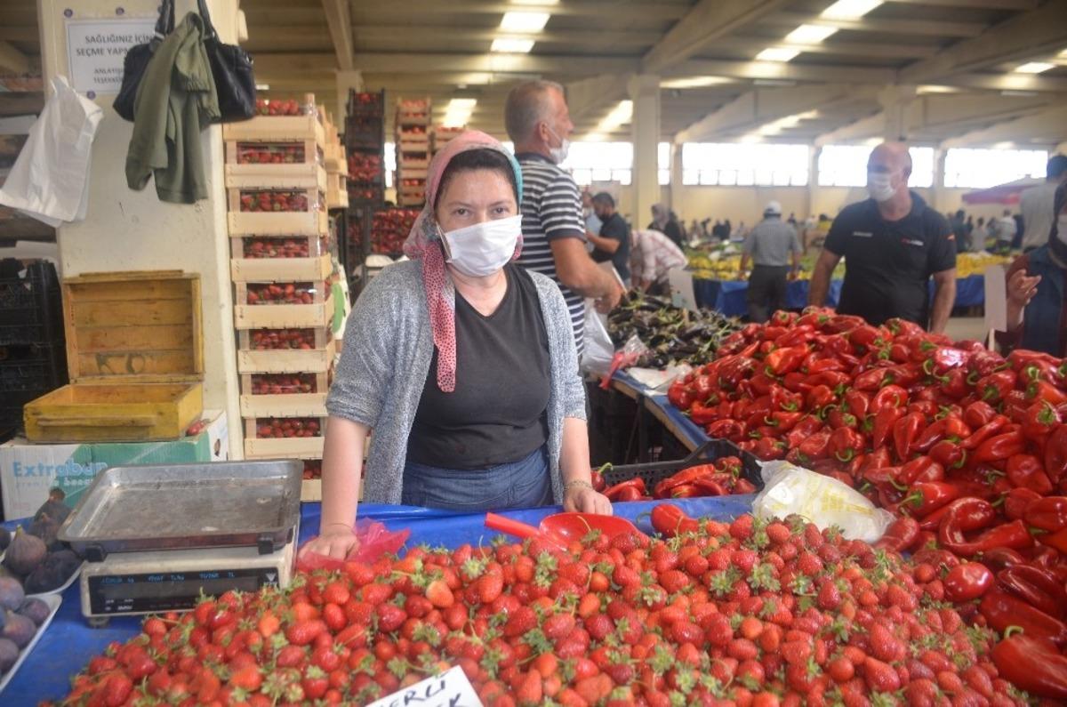 Yerli Yenik&ouml;y &ccedil;ileğine ilgi yoğun
