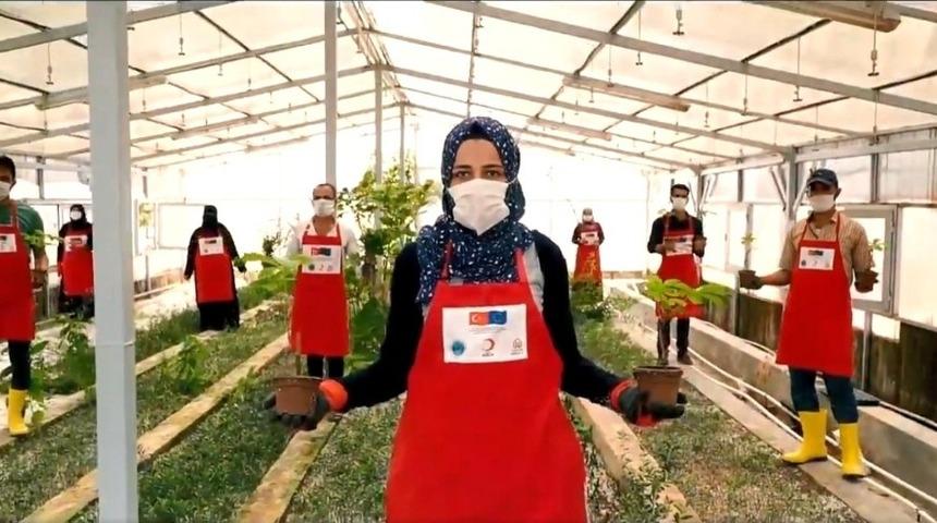 Fide ve Fidan yetiştiriciliği eğitimi ger&ccedil;ekleştiriliyor