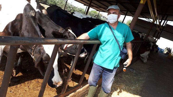 Salihli’de sonbahar şap aşılama kampanyası G2