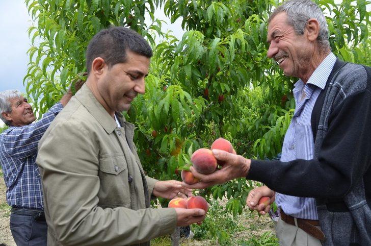 Başkan Günel, en başarılı belediye başkanları arasına girdi G1