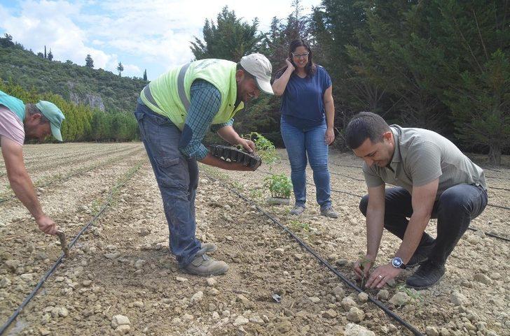 Başkan Günel, en başarılı belediye başkanları arasına girdi G3