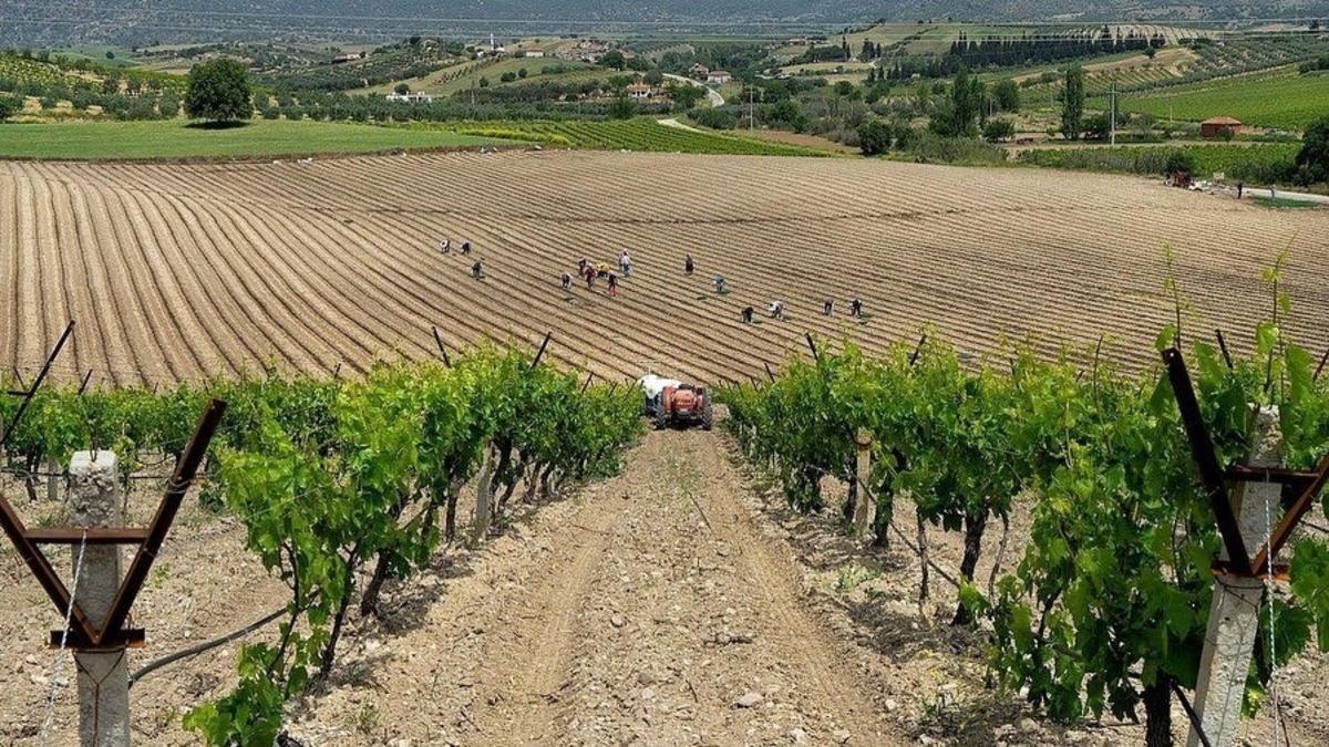 Salihlili fotoğraf&ccedil;ı, 3 &ouml;d&uuml;l birden kazandı