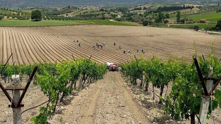 Salihlili fotoğrafçı, 3 ödül birden kazandı G1