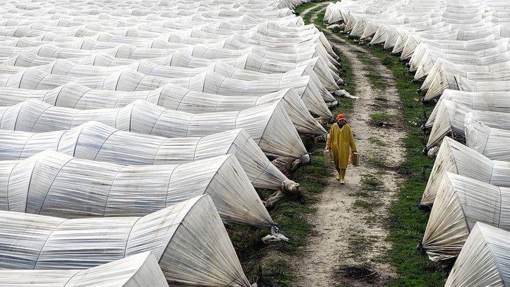 Salihlili fotoğrafçı, 3 ödül birden kazandı G2