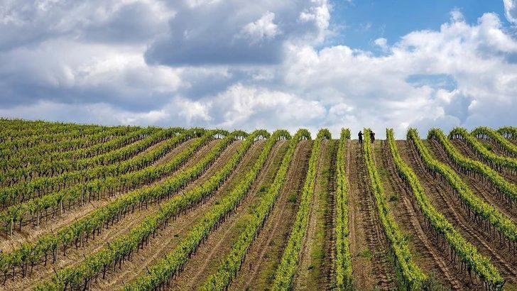 Salihlili fotoğrafçı, 3 ödül birden kazandı G4