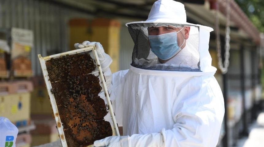 Balıkesir Büyükşehir’e  “Sağlık Akan Petekler” projesiyle ödül