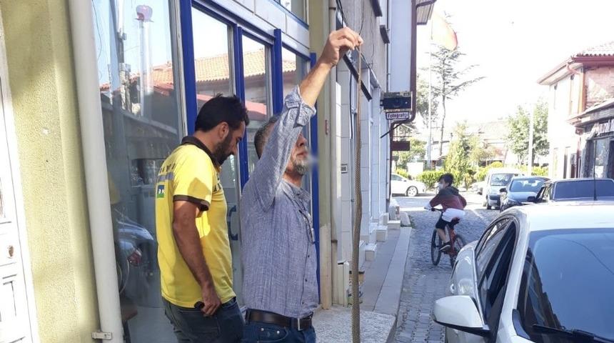 O ilçede şaşkına çeviren manzara! Her yerden yılan çıkıyor