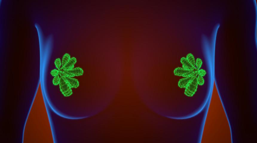 Meme kanseri tedavisinde bu gıdalar &ccedil;ok etkili