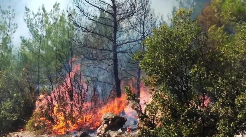 Muğla&rsquo;daki yangınlar kontrol altına alındı