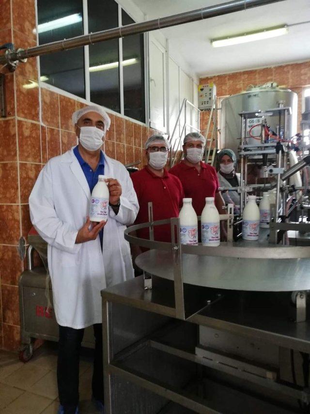 Biga MYO’da günlük süt üretimi başladı