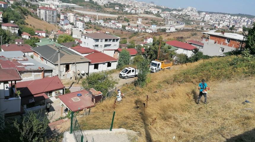 Bu evi akrep ve yılanlar basıyor! 