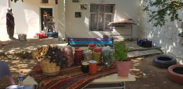 Çınar’da kadın girişimciler üretime katkı sunuyor G2