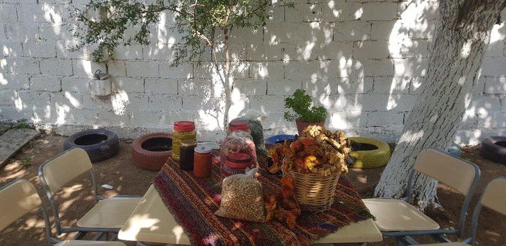 Çınar’da kadın girişimciler üretime katkı sunuyor G3