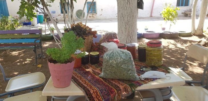 Çınar’da kadın girişimciler üretime katkı sunuyor G4