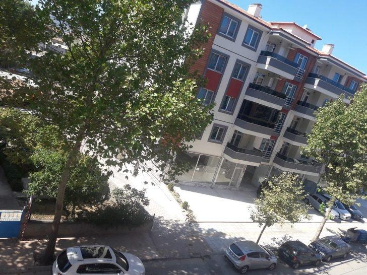 Osmancık’ta ağaçlar susuzluktan kuruyor G2