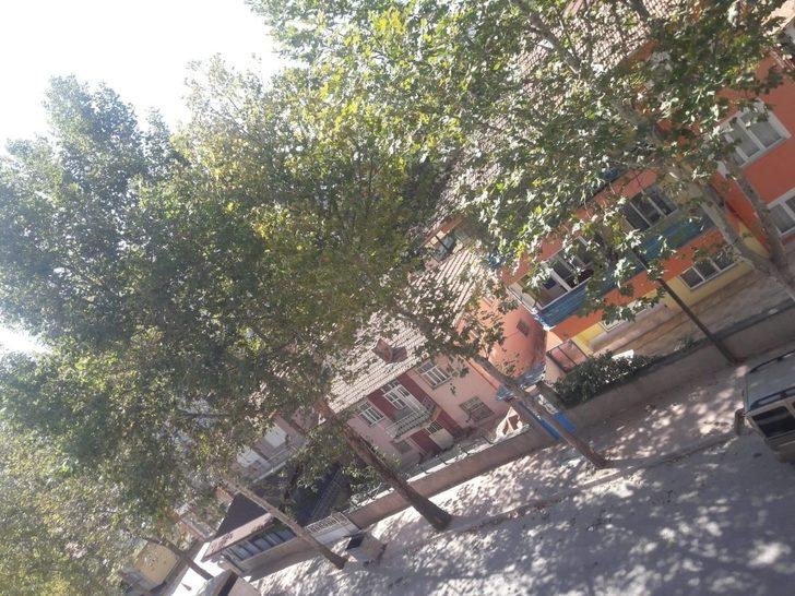 Osmancık’ta ağaçlar susuzluktan kuruyor G3