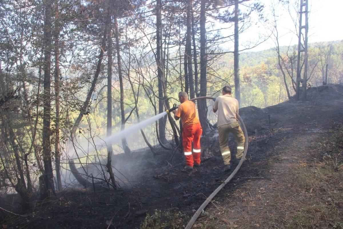 İnebolu&rsquo;da aynı g&uuml;n &ccedil;ıkan 2 ayrı yangın korkuttu