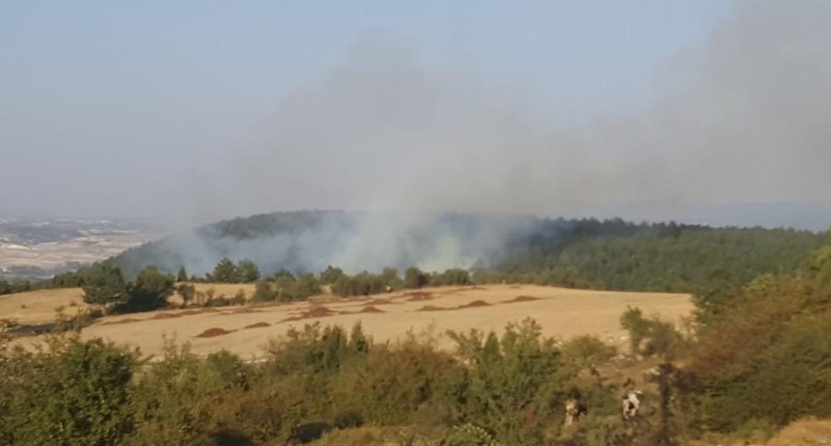K&uuml;tahya&rsquo;daki orman yangınında 1 hektarlık alan yandı