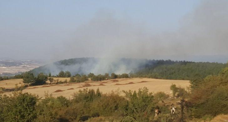 Kütahya’daki orman yangınında 1 hektarlık alan yandı G1