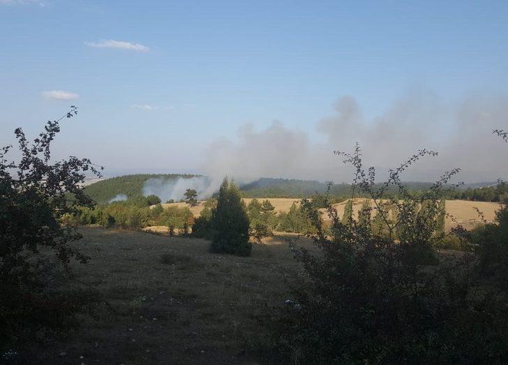 Kütahya’daki orman yangınında 1 hektarlık alan yandı G2