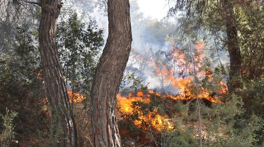 Bir günde aynı noktada 6 kez yangın çıktı