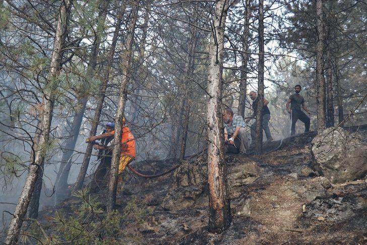 GÜNCELLEME -Kütahya'da orman yangını çıktı G1