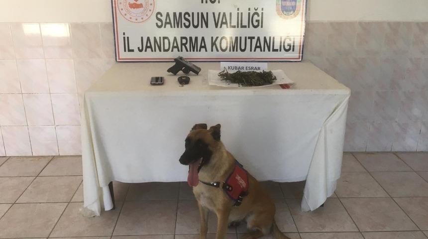 Bafra&rsquo;da jandarma uyuşturucuya ge&ccedil;it vermiyor