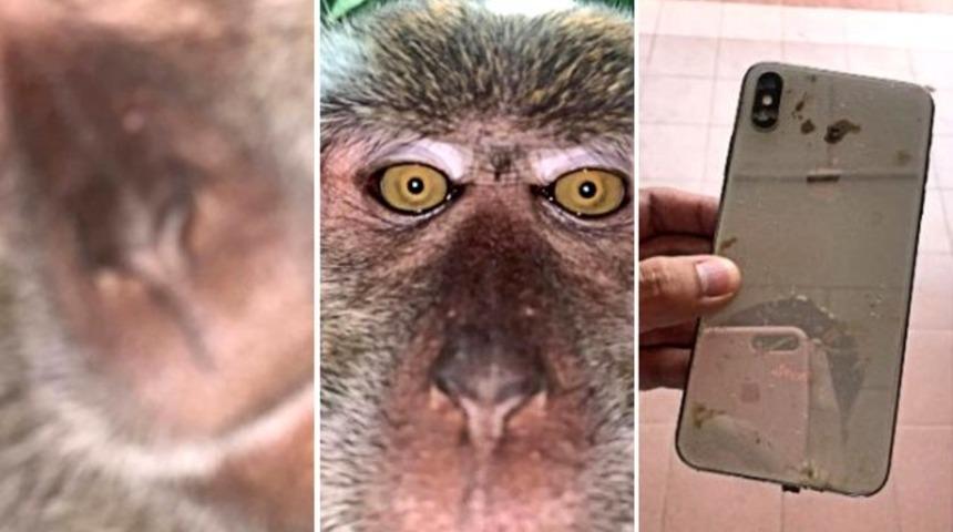 Kaybettiği telefonundan çıkan fotoğrafları görünce inanamadı 