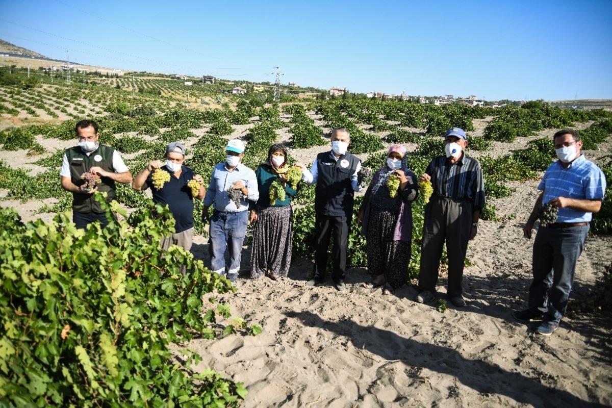 Tarım ve Orman İl M&uuml;d&uuml;r&uuml; Mustafa Şahin: &ldquo;Kayseri bağcılıkta da olması gereken yere gelecek&rdquo;