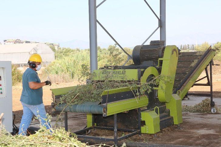 Bitkisel artıklar geri dönüşümle çevreye ve ekonomiye katkı sağlıyor G5