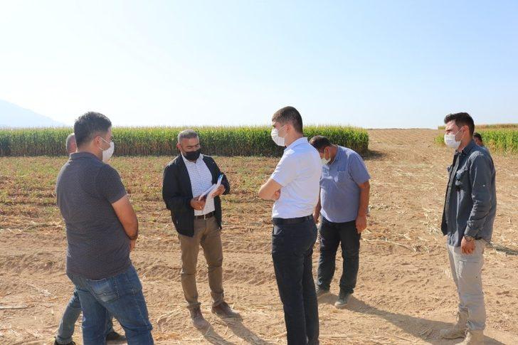 Gürpınar Kaymakamı Kayabaşı hasat çalışmalarını inceledi G2