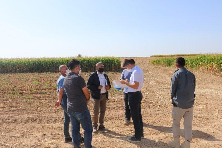 Gürpınar Kaymakamı Kayabaşı hasat çalışmalarını inceledi G3