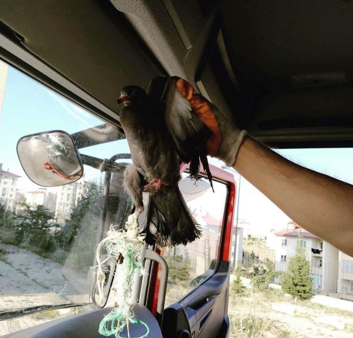 Ayağına ip dolanan g&uuml;vercini itfaiye kurtardı