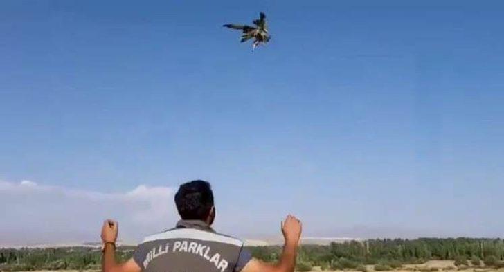 Tedavileri tamamlanan kuşlar doğaya bırakıldı G2