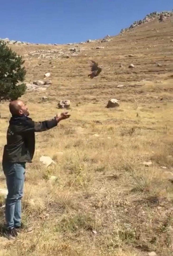Tedavileri tamamlanan kuşlar doğaya bırakıldı G4