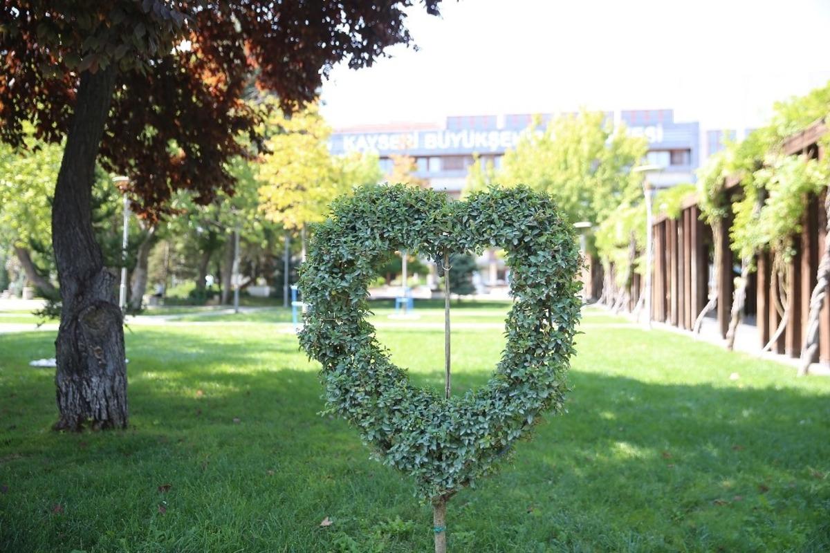 Dekoratif &ccedil;i&ccedil;ek ve bitkiler B&Uuml;y&uuml;kşehir&rsquo;den