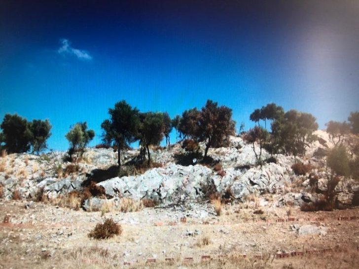 Patronunun parasını çalmaya çalıştı G3