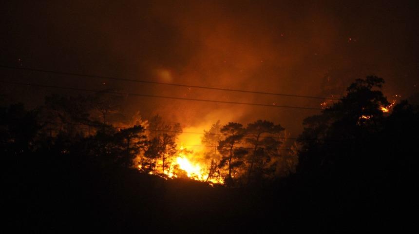 Antalya'da &ccedil;ıkan orman yangını kontrol altına alındı