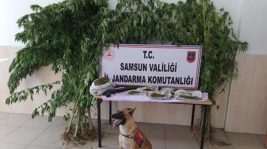 Alacam’da  uyuşturucu operasyonu