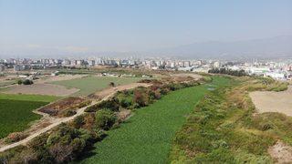 Asi Nehri su sümbüllerinin istilası altında